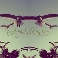 Animal Kingdom (Single)